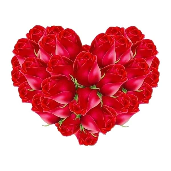 استیکر پارچه و لباس پاد آفرین مدل قلب گلی کد 1265