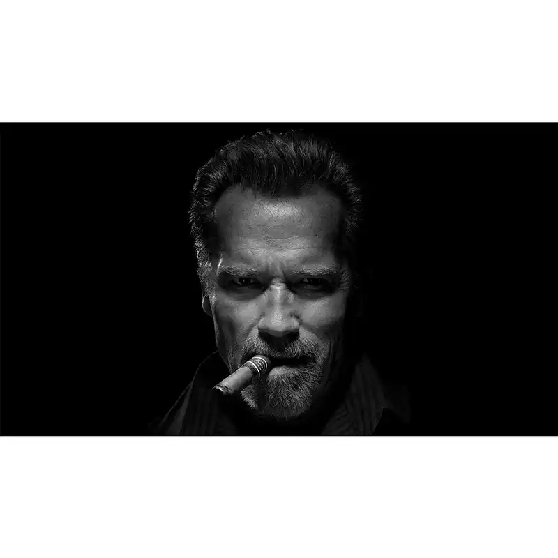 تابلو شاسی طرح پرتره ی هنرمندان مشهور-آرنولد شوارتزنگر کد 75