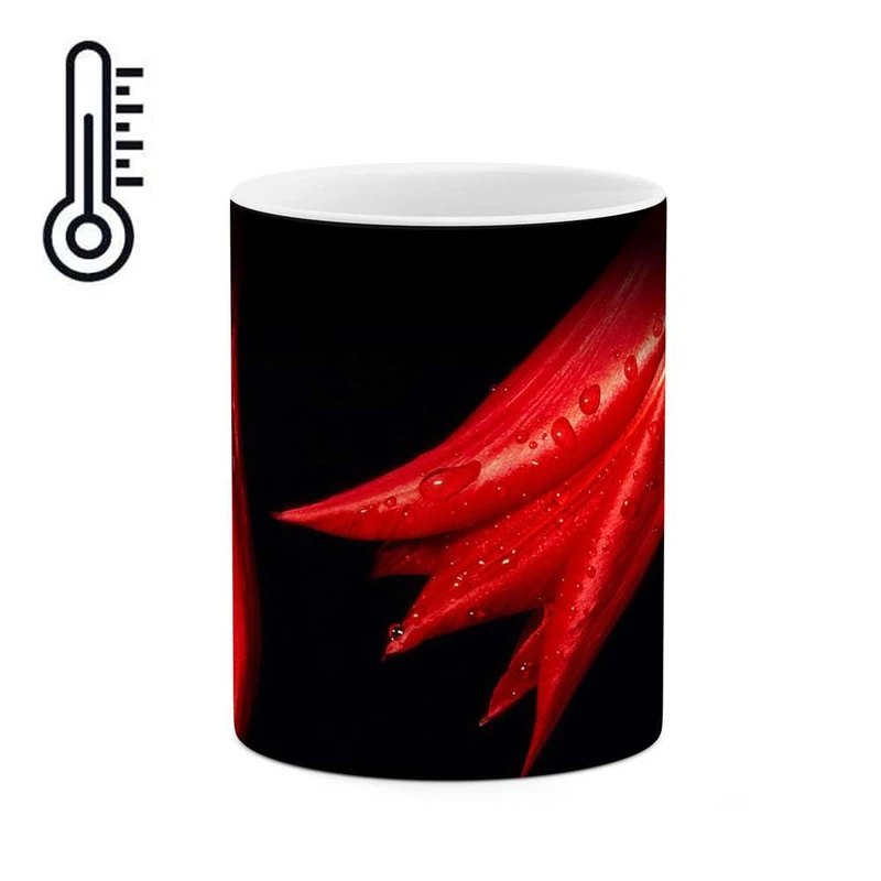 ماگ حرارتی کاکتی مدل گل کد mgh11981