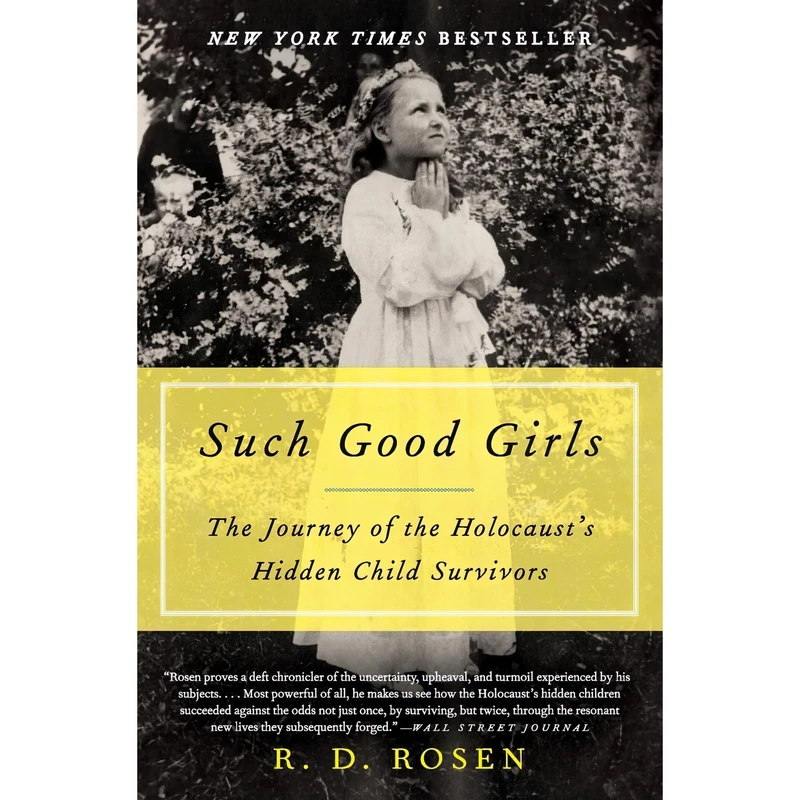 کتاب Such Good Girls اثر Richard Dean Rosen انتشارات Harper Perennial