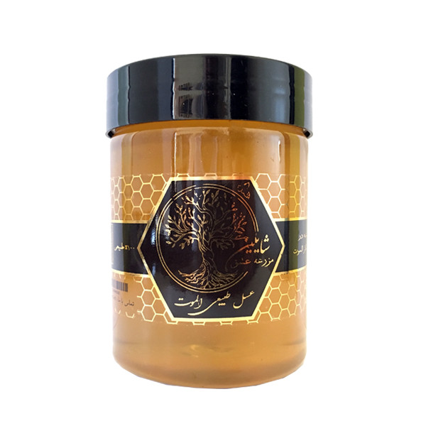 عسل طبیعی بدون موم شایلین - 500 گرم