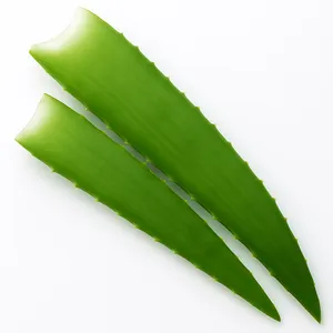 برگ آلوئه ورا مدل یونیک وزن 5 کیلوگرم