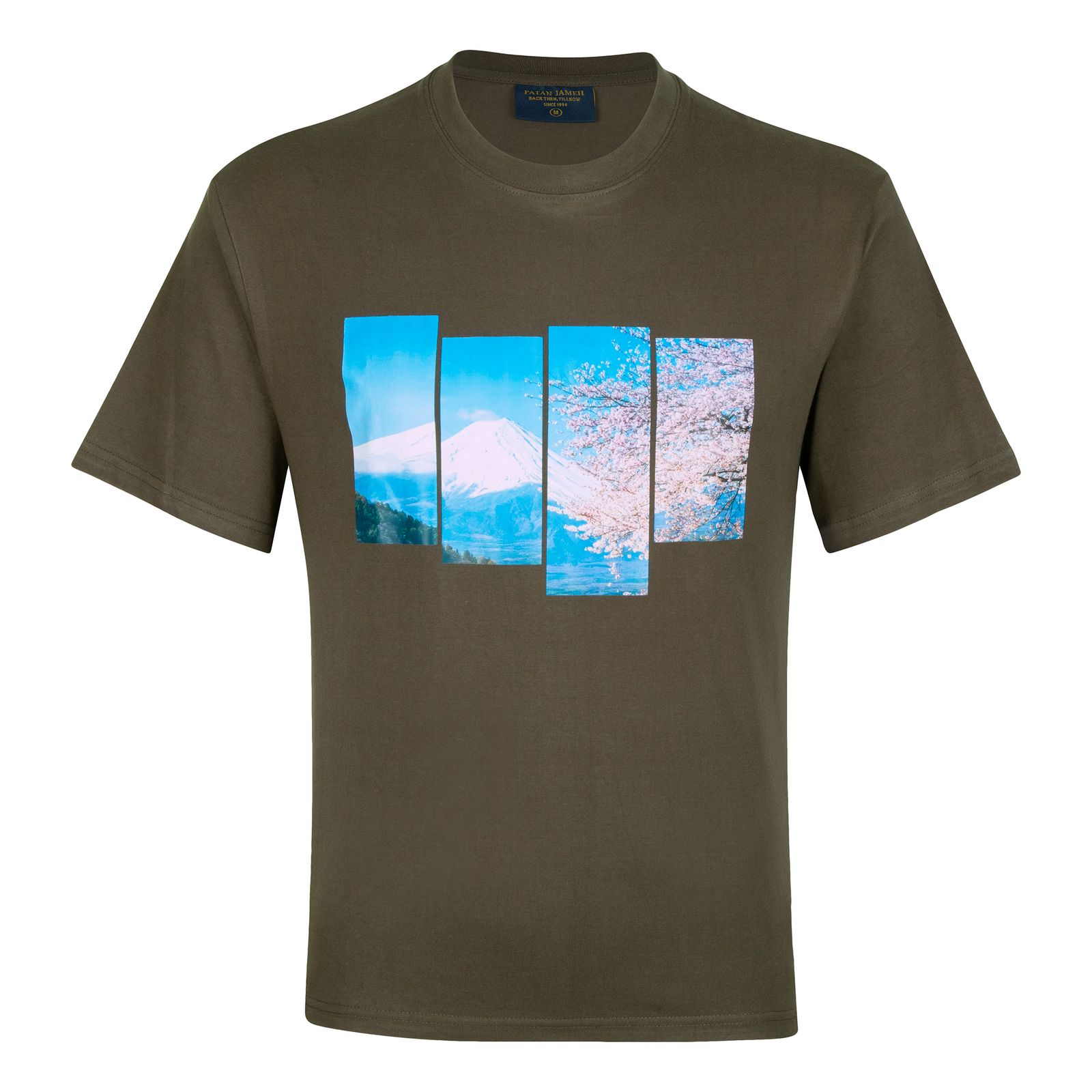 تی شرت آستین کوتاه مردانه پاتن جامه مدل  نخی 331621030002999 رنگ سبز تیره -  - 3
