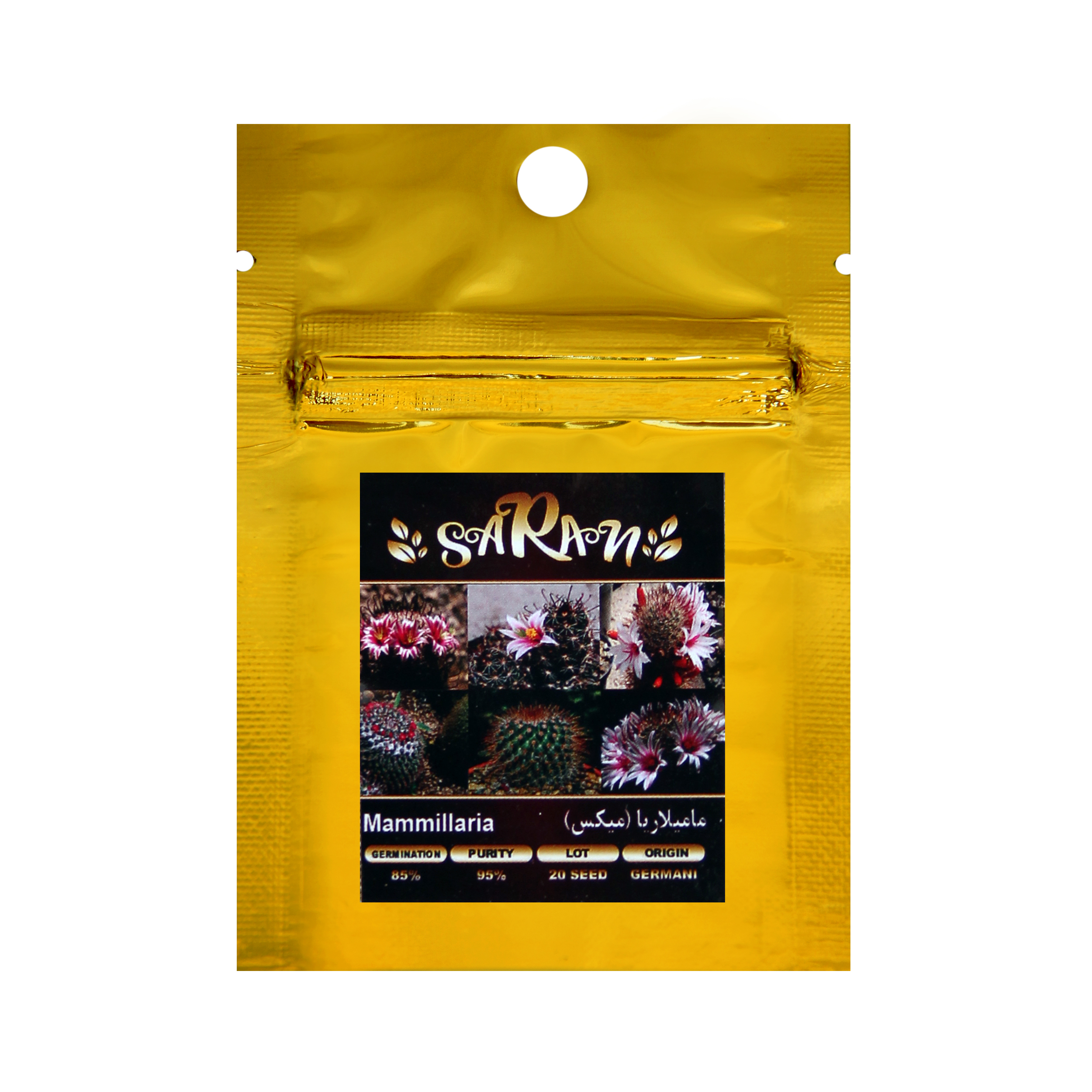 بذر کاکتوس مامیلاریا ساران مدل AMR-006