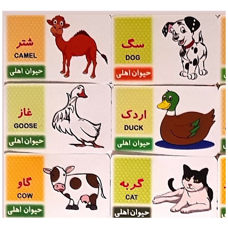 بازی آموزشی حیوانات مدل حیوانات اهلی کد BA18 مجموعه 17 عددی
