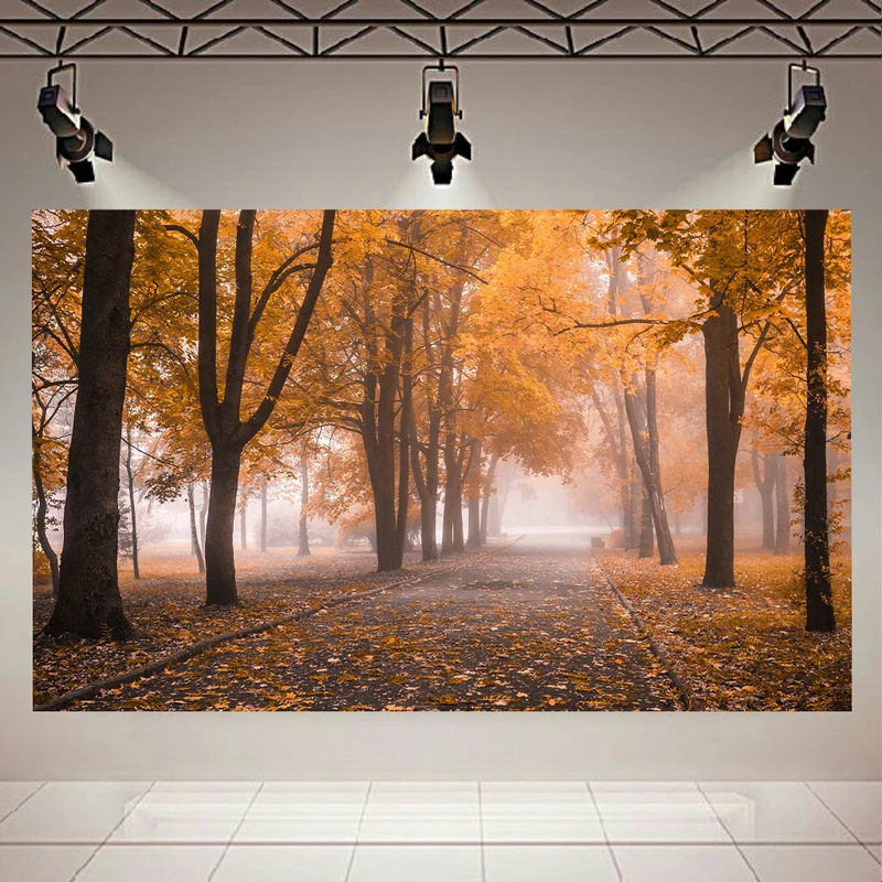 تابلو شاسی طرح جاده پاییزی کد AR616