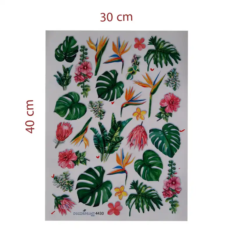 برچسب ترنسفر مدل برگ های استوایی کد 1