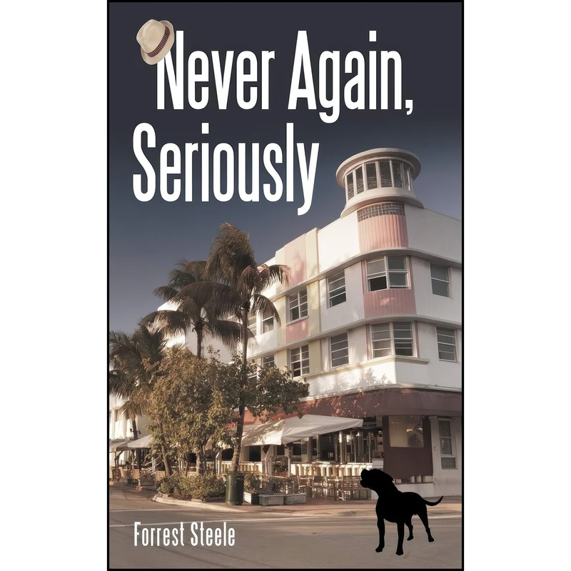کتاب Never Again, Seriously اثر Forrest Steele انتشارات Archway Publishing