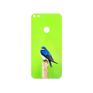 MAHOOT Bird Swallow Cover Sticker for Google Pixel