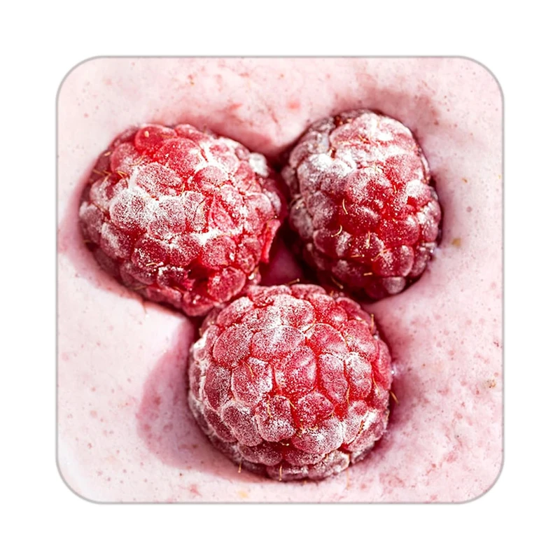 زیر لیوانی کاکتی طرح میوه مدل mp20721