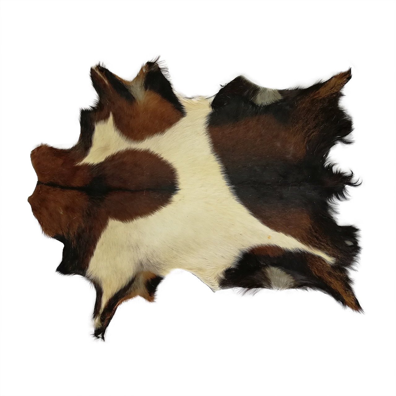 فرش پوست و چرم کمالی مدل AC-00318