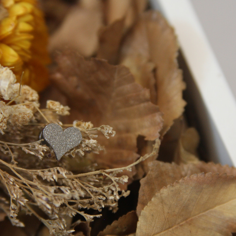 پیرسینگ گوش زنانه مدل FPG10 پیرسینگ گوش زنانه مدل FPG10