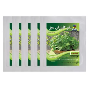 بذر بادرنجبویه گلباران سبز بسته 5 عددی