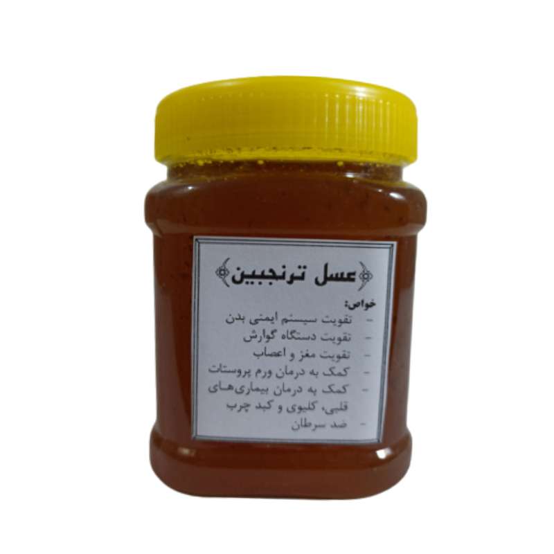 عسل ترنجبین - 500 گرم