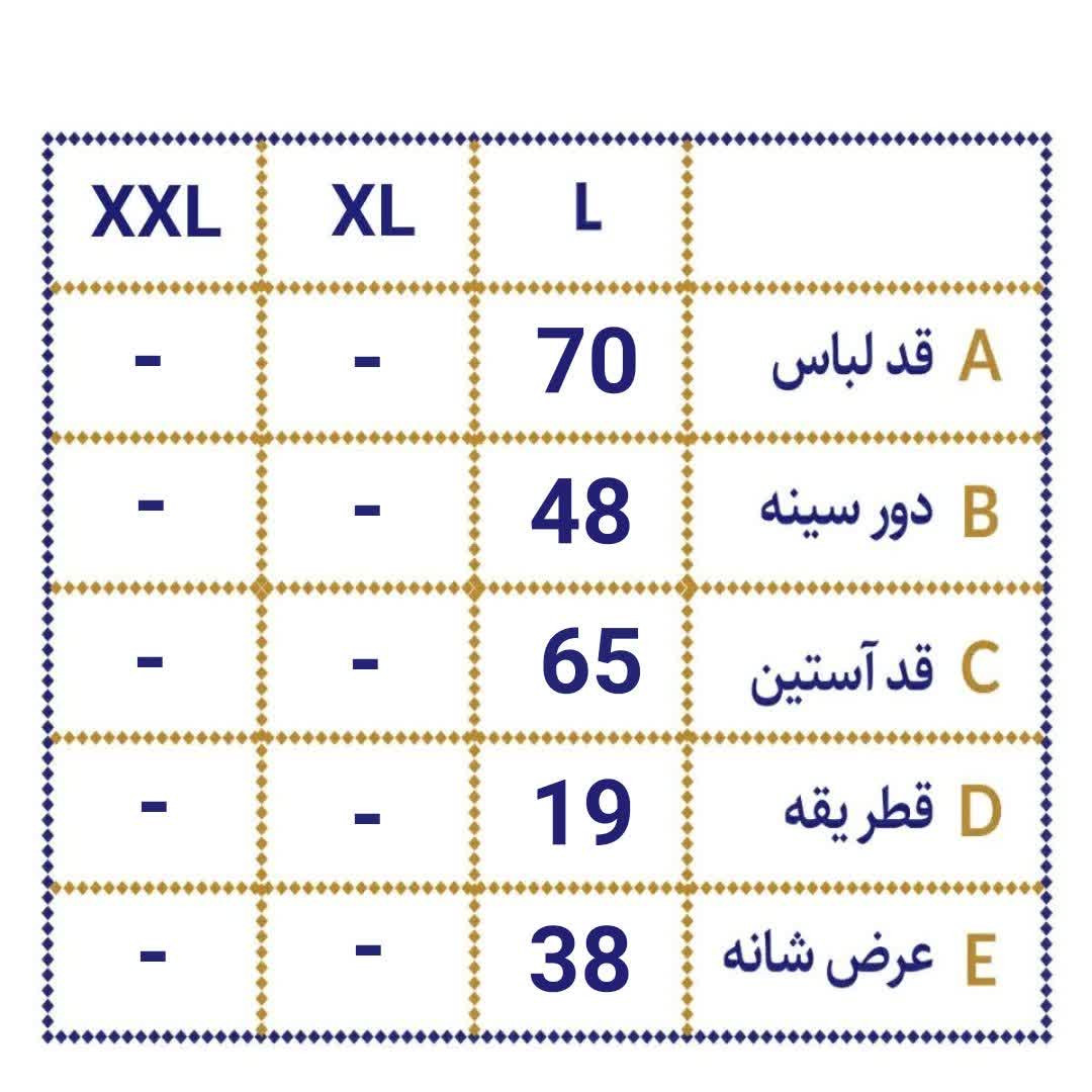پلیور مردانه رایکا مدل 2204 رنگ زرشکی