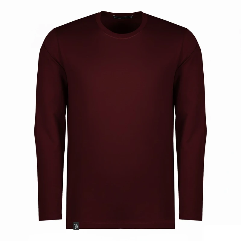 تی‌شرت آستین بلند مردانه باینت مدل 513-1