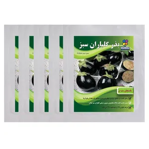  بذر بادمجان دلمه ای گلباران سبز بسته 5 عددی