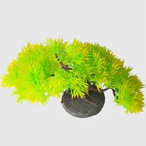 گیاه تزئینی آکواریوم کد Ma1415