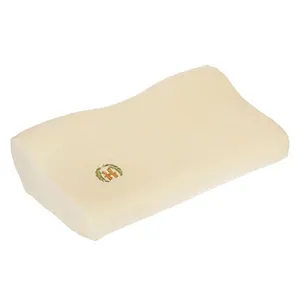 Hooshmand Butterfly Pillow
