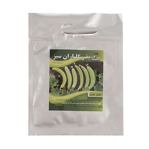 بذر خیار چنبر شرکت گلباران سبز گیلان