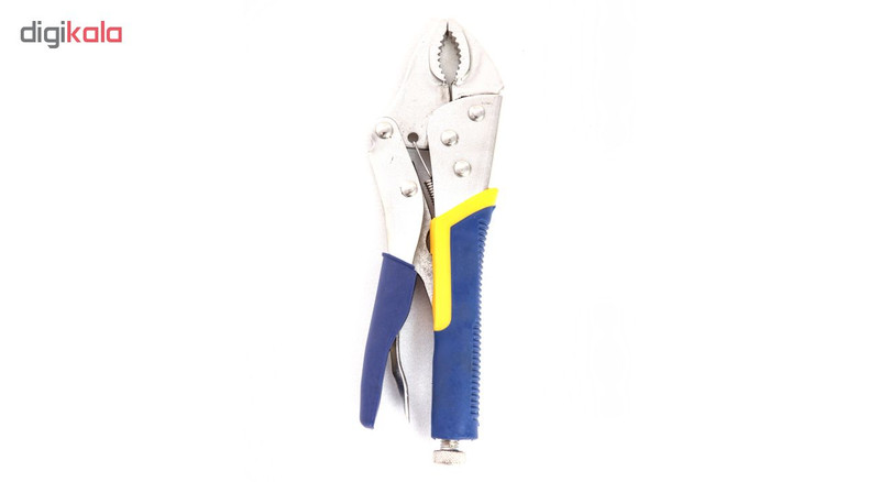 انبر قفلی مدل Bluelet سایز10 اینچی انبر قفلی مدل Bluelet سایز10 اینچی