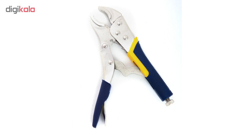 انبر قفلی مدل Bluelet سایز10 اینچی انبر قفلی مدل Bluelet سایز10 اینچی