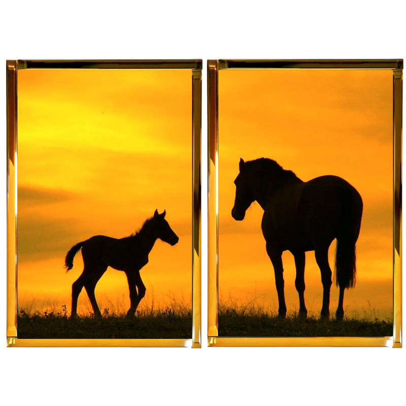 تابلو آینه مدل اسب بسته دو عددی