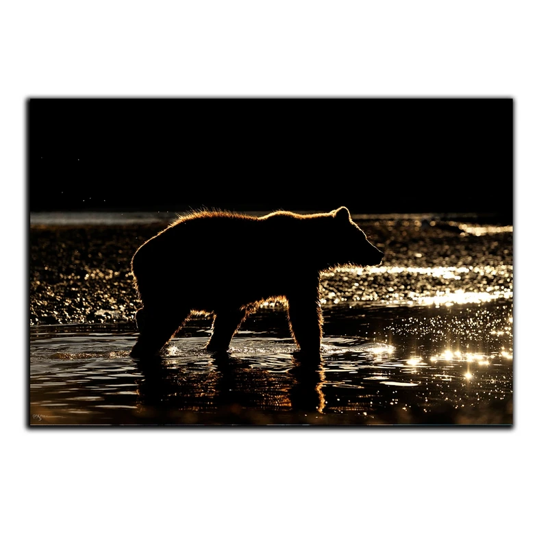 تابلو شاسی بکلیت طرح حیات وحش خرس مدل SH-S1664