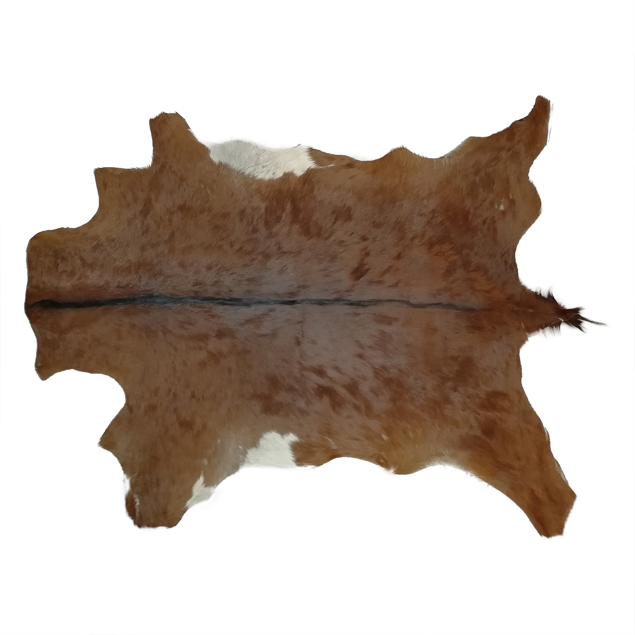 فرش پوست و چرم کمالی مدل AC-00337