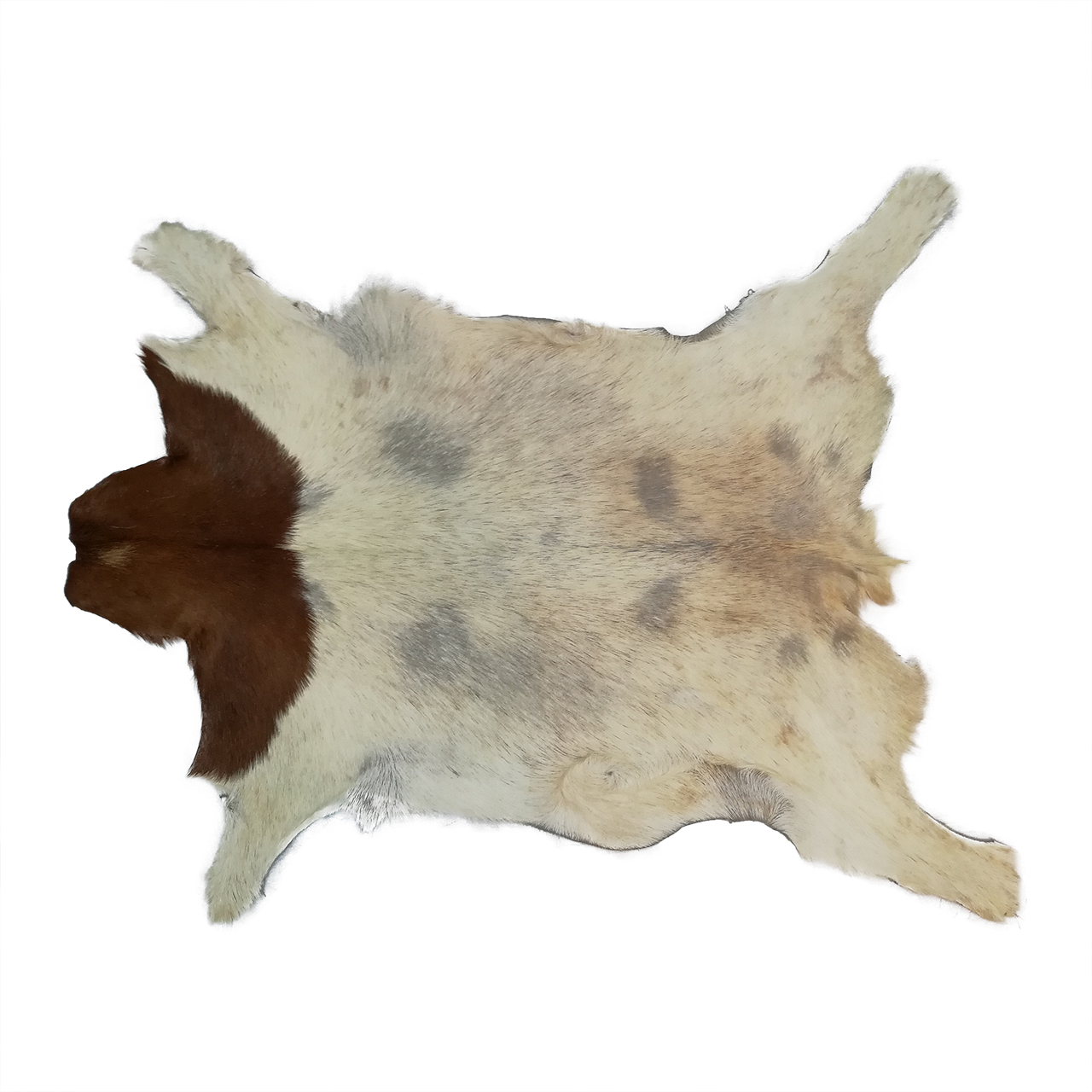 فرش پوست و چرم کمالی مدل AC-00349