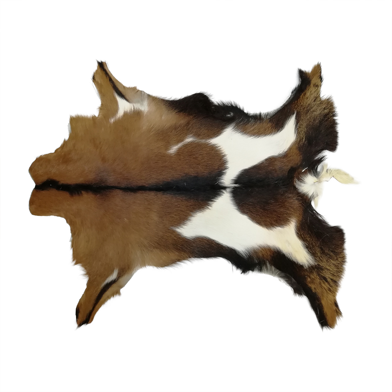 فرش پوست و چرم کمالی مدل AC-00365