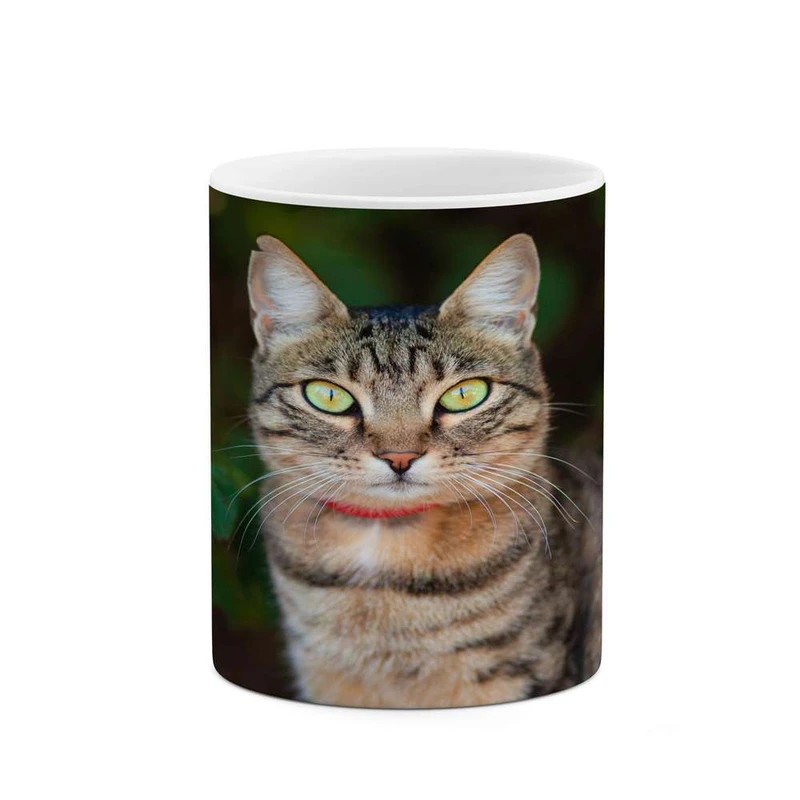 ماگ کاکتی مدل گربه کد mgh14083