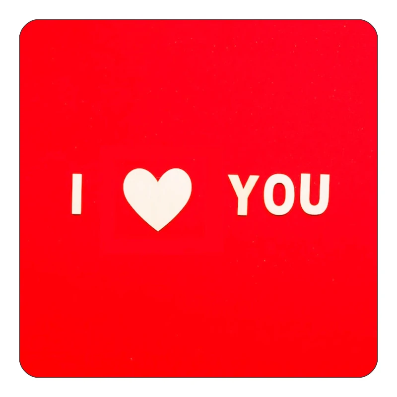 مگنت کاکتی طرح عاشقانه مدل mp39361