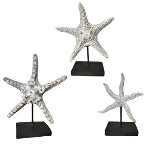 مجسمه مدل استند ستاره دریایی مجموعه 3 عددی