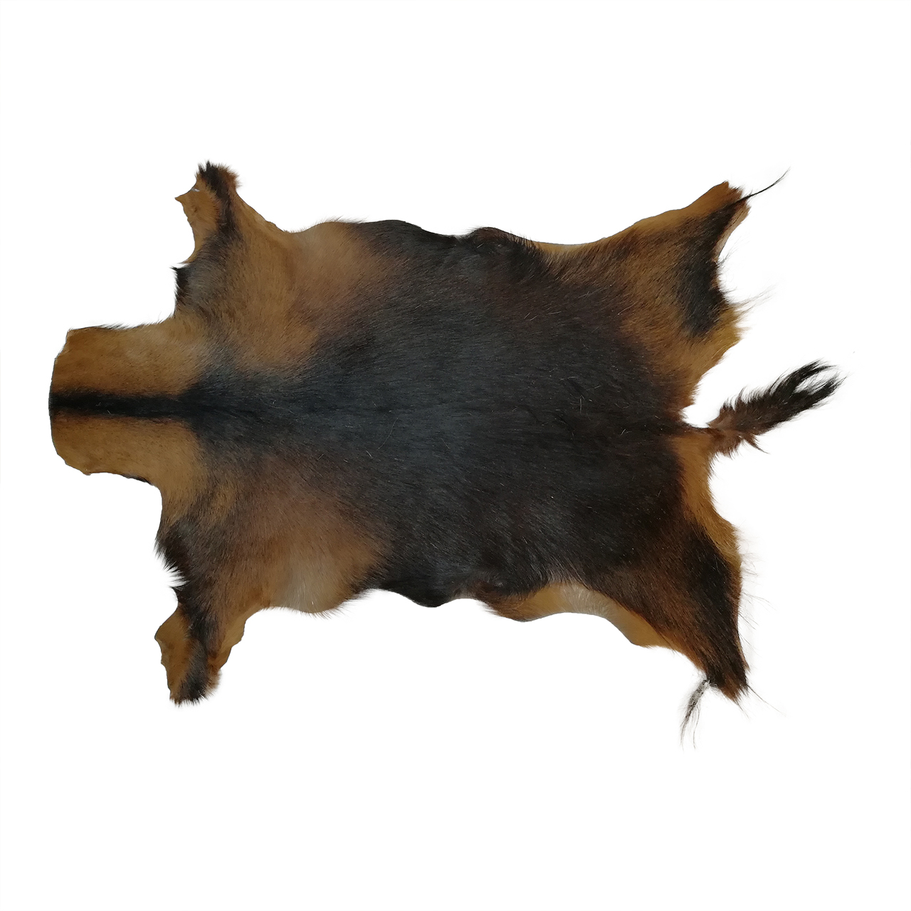 فرش پوست و چرم کمالی مدل AC-00401