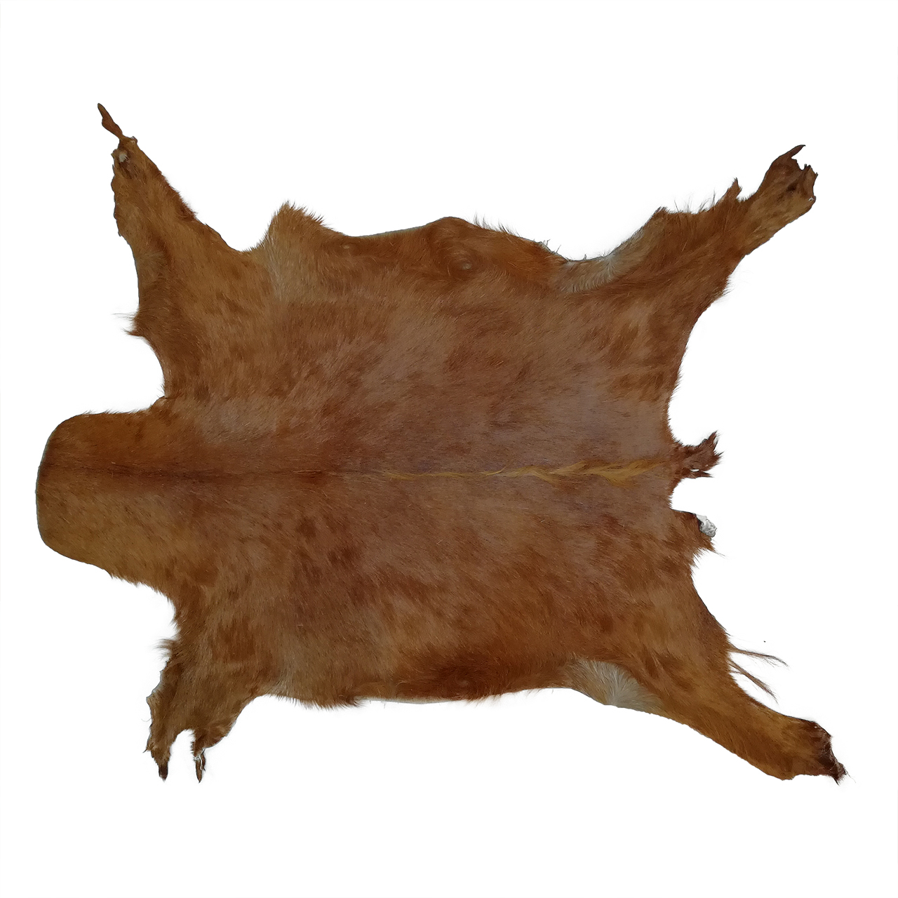 فرش پوست و چرم کمالی مدل AC-00416