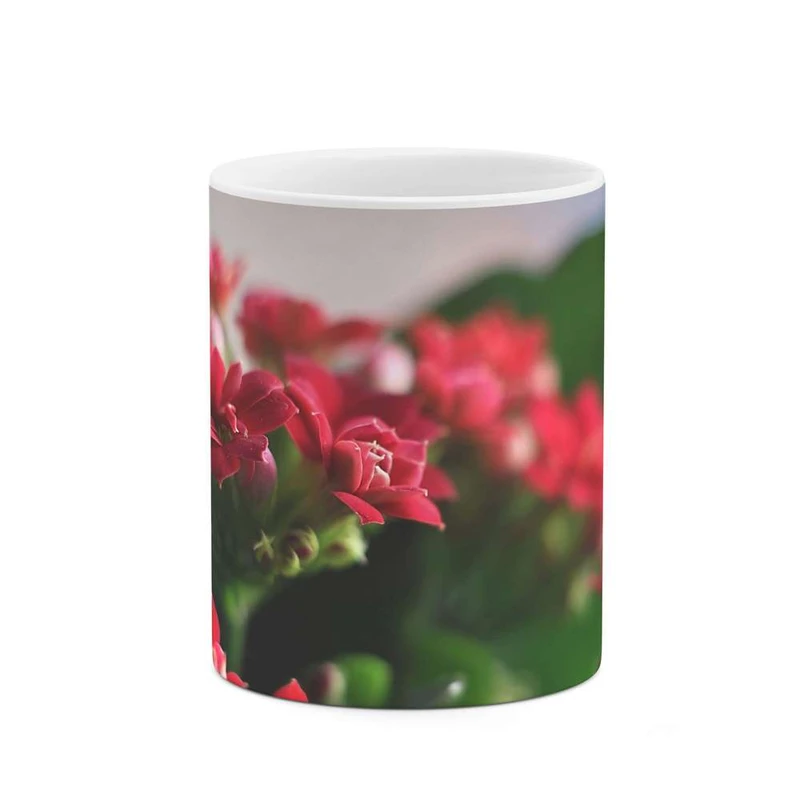 ماگ کاکتی مدل گل کد mgh12072