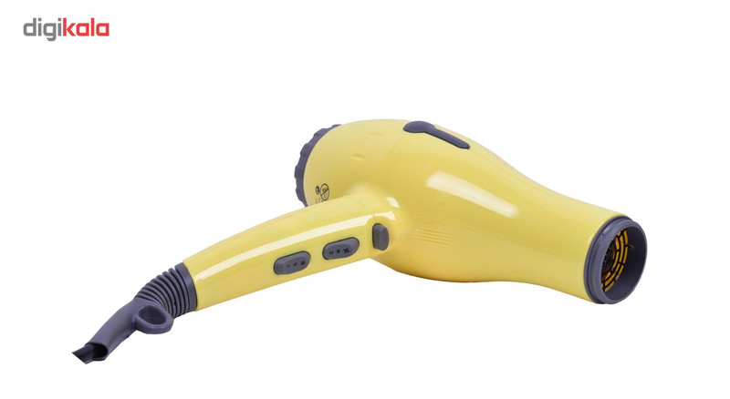 سشوار حرفه ای پرومارون مدل RL-8805
