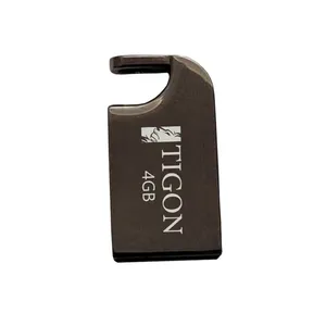 فلش مموری تایگون مدل Block ظرفیت 4 گیگابایت با رابط USB 2.0