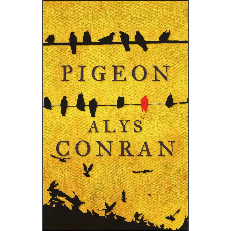 کتاب Pigeon اثر Alys Conran انتشارات Parthian Books