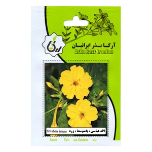 بذر لاله عباسی پا متوسط زرد آرکا بذر ایرانیان مدل C135