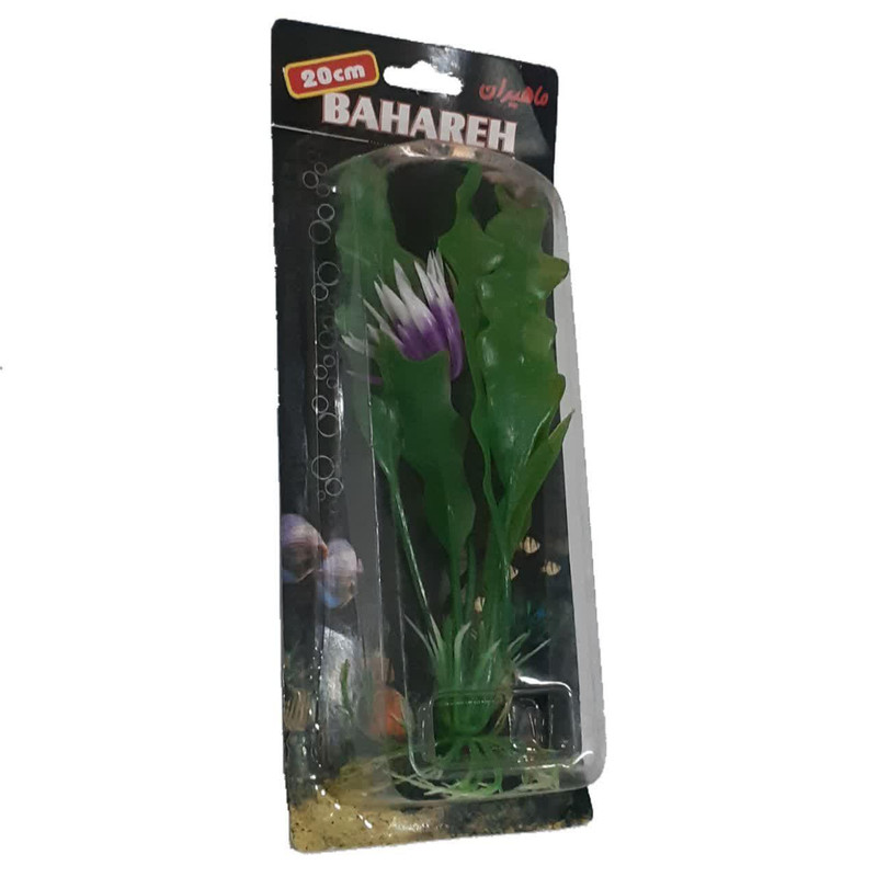 گیاه تزیینی آکواریوم مدل بهاره کد021