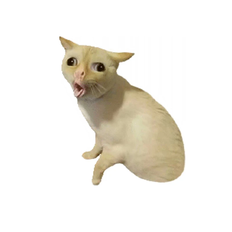 برچسب بدنه خودرورایسان طرح گربه کد SB0019