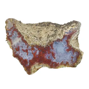 سنگ عقیق مدل شجر مویی کد H 1