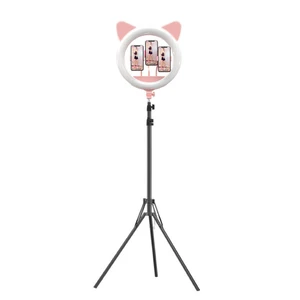 رینگ لایت مدل Cat