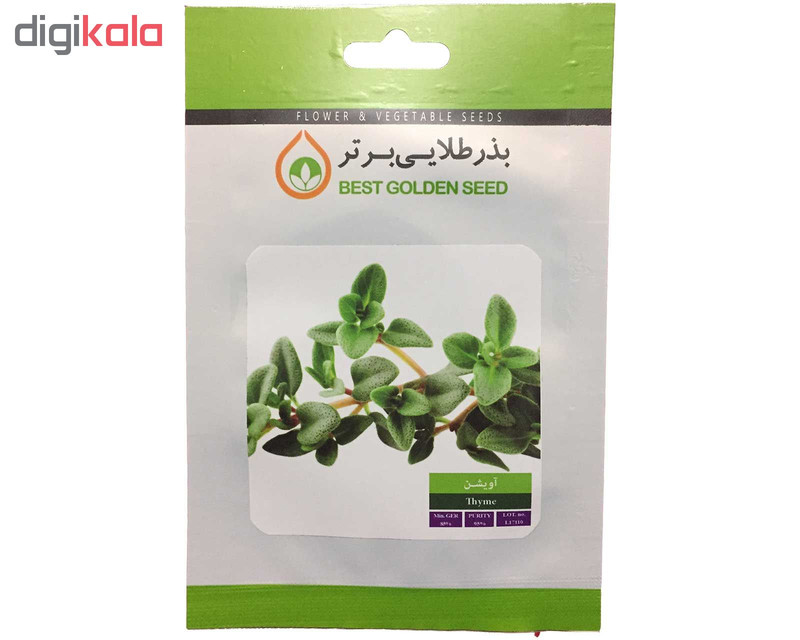 بذر گیاه دارویی آویشن بذر طلایی برتر کد BZT-100