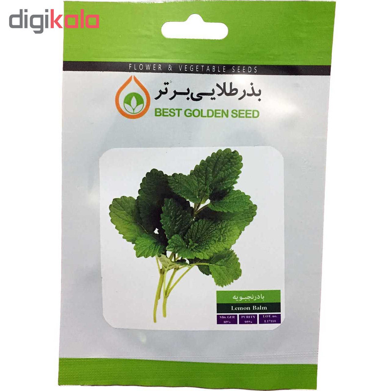 بذر گیاه دارویی بادرنجبویه بذر طلایی برتر کد BZT-101
