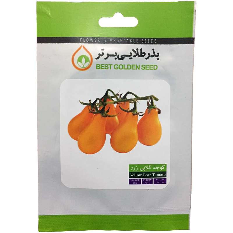 بذر گوجه گلابی زرد بذر طلایی برتر کد BZT-103