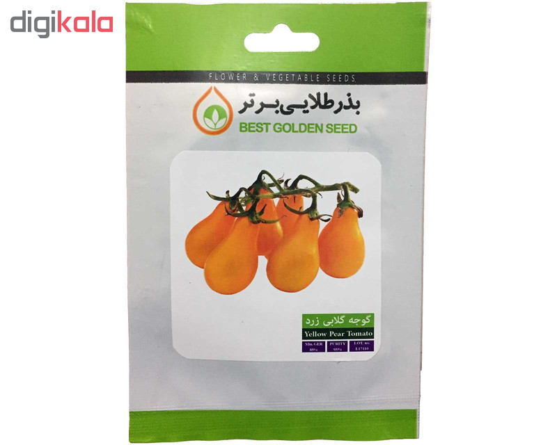 بذر گوجه گلابی زرد بذر طلایی برتر کد BZT-103
