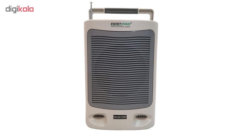 آمپلی فایر ای ای پی پرو مدل PA-3G-100B